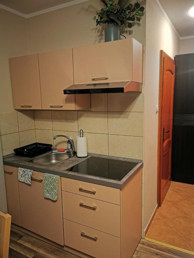 Apartament Przy Stoku Wilcza Karpacz Exterior photo